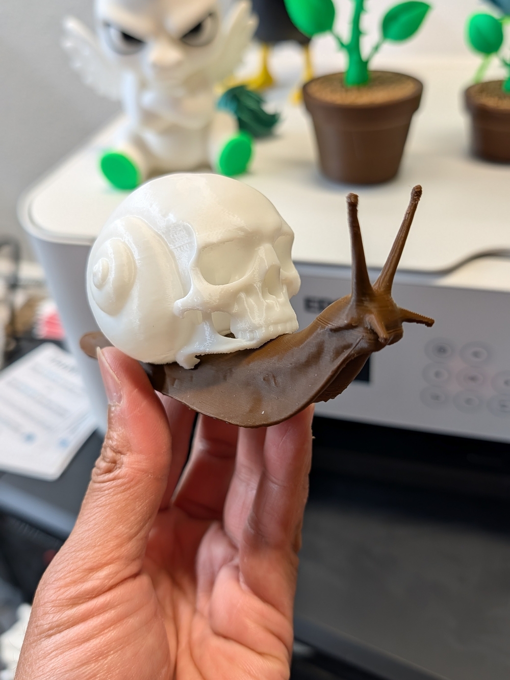 White Skull-on-Brown Snail Terrarium Accent - Reptile Décor